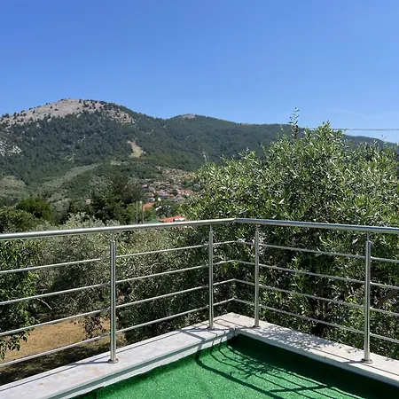 Apartament Elvi *