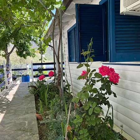 Elvi Apartament